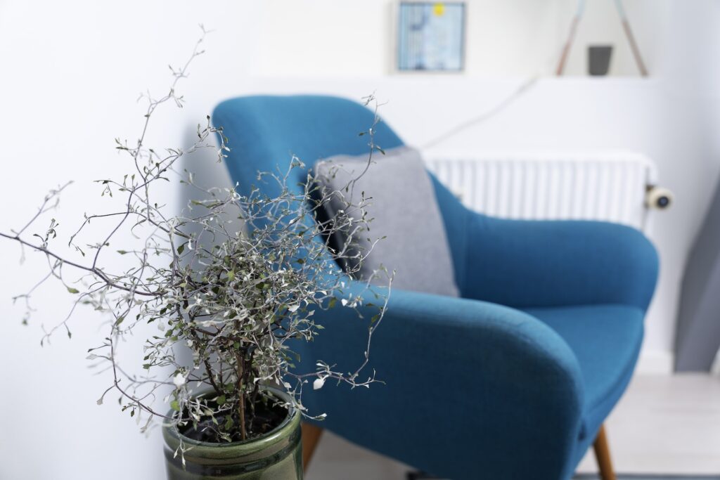 Marie Ougaard psykoterapeut coach holbaek 11