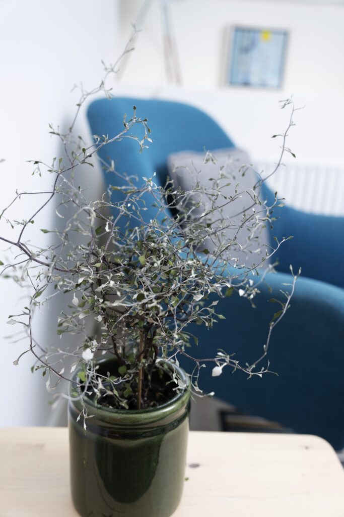 Marie Ougaard psykoterapeut coach holbaek 12