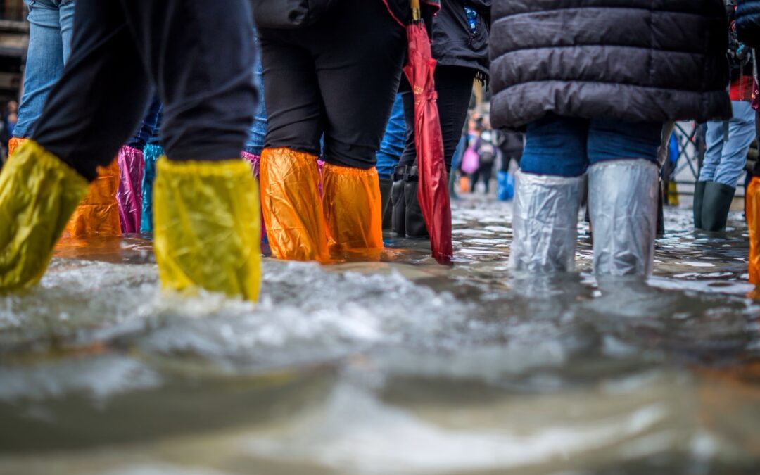 Klimaangst – hvad kan jeg gøre?